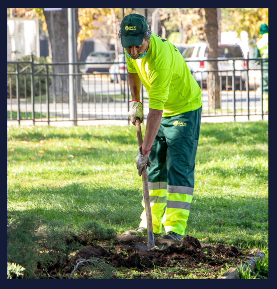 Servicio de Jardinería - Imagen 3
